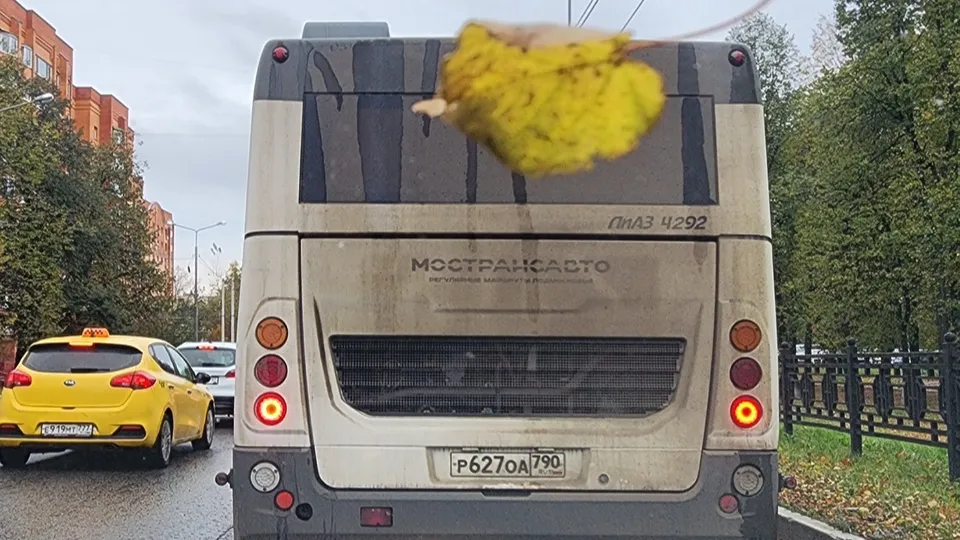 Фото: REGIONS/Наталия Надточая