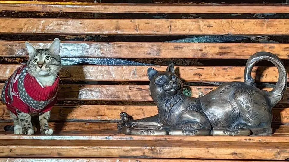 Фото: администрация г.о.Клин