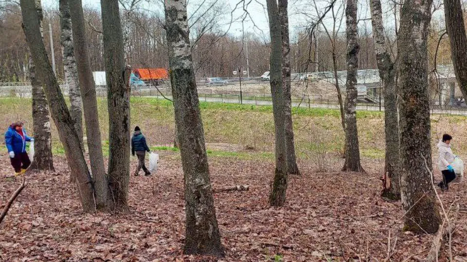 Фото: t.me/КлинZдесь.НОВОСТИ