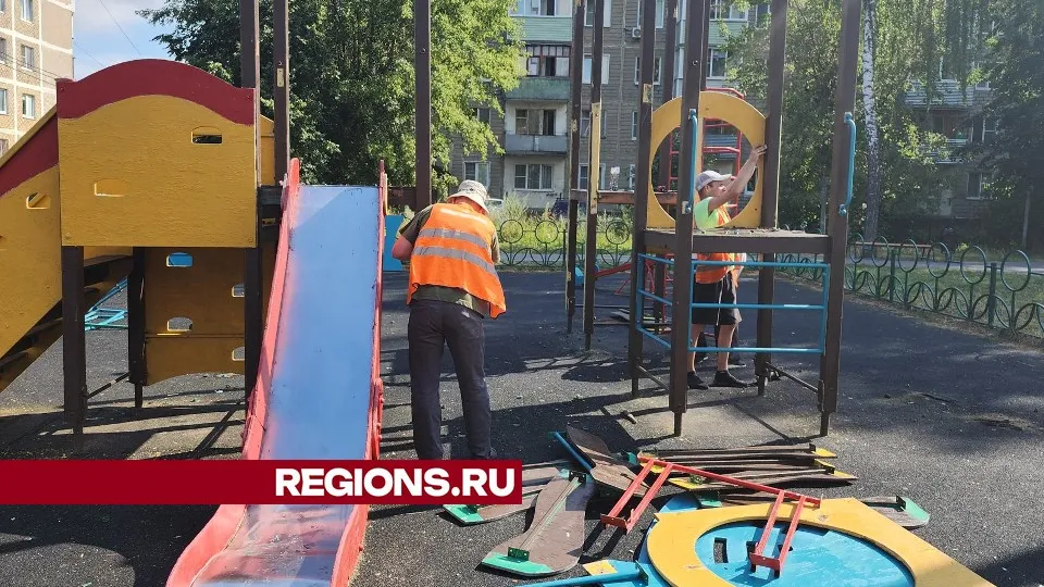 Фото: Александр Степушкин