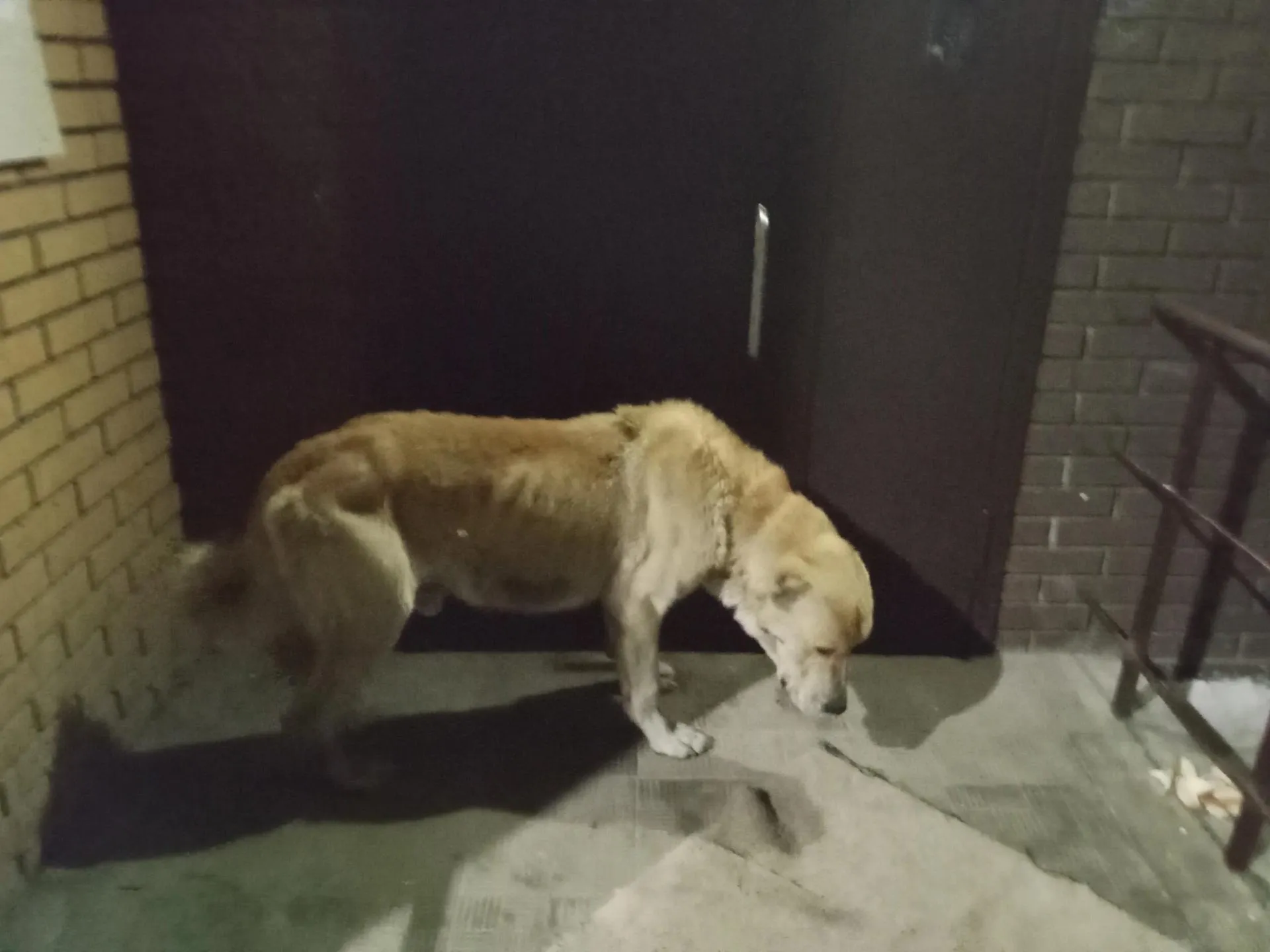 Фото: социальные сети