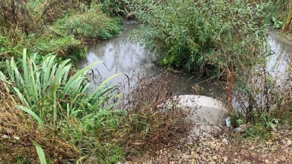 Фото: Минэкологии МО