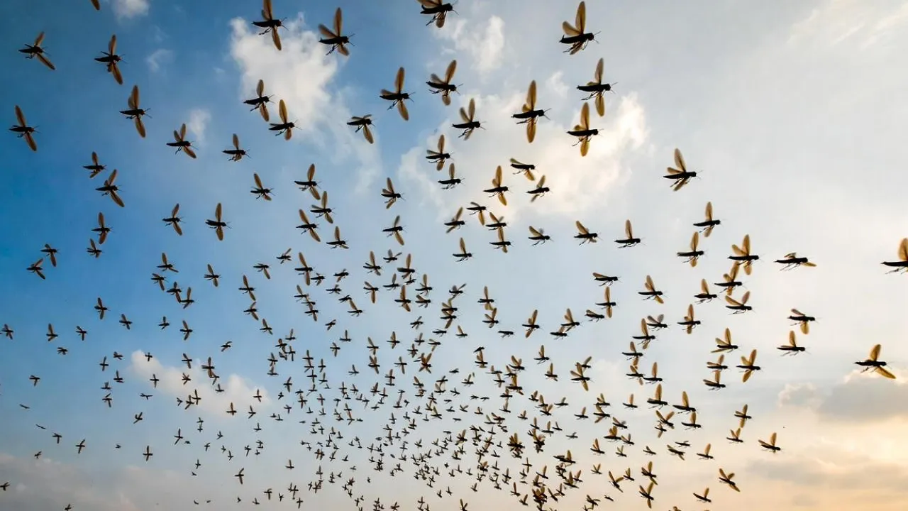 «Подмосковье сегодня»/Сгенерировано нейросетью
