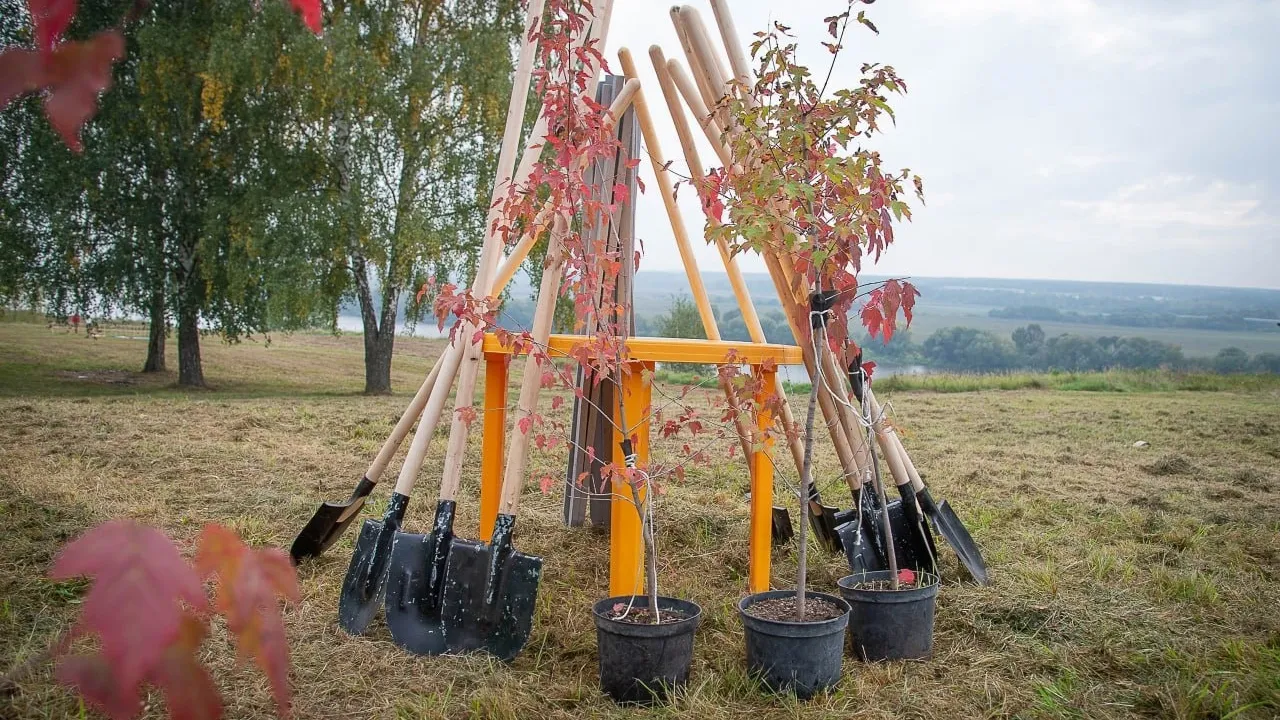 Фото: администрация городского округа Коломна