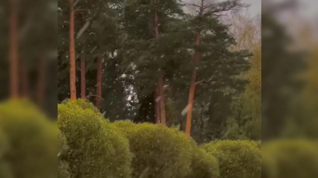 Фото: телеграм-канал «Красноармейский Крафт»