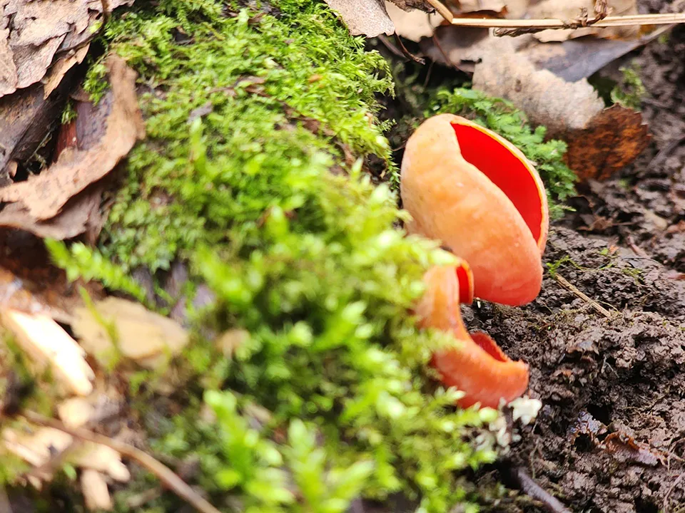 Фото: REGIONS/Мария Панина