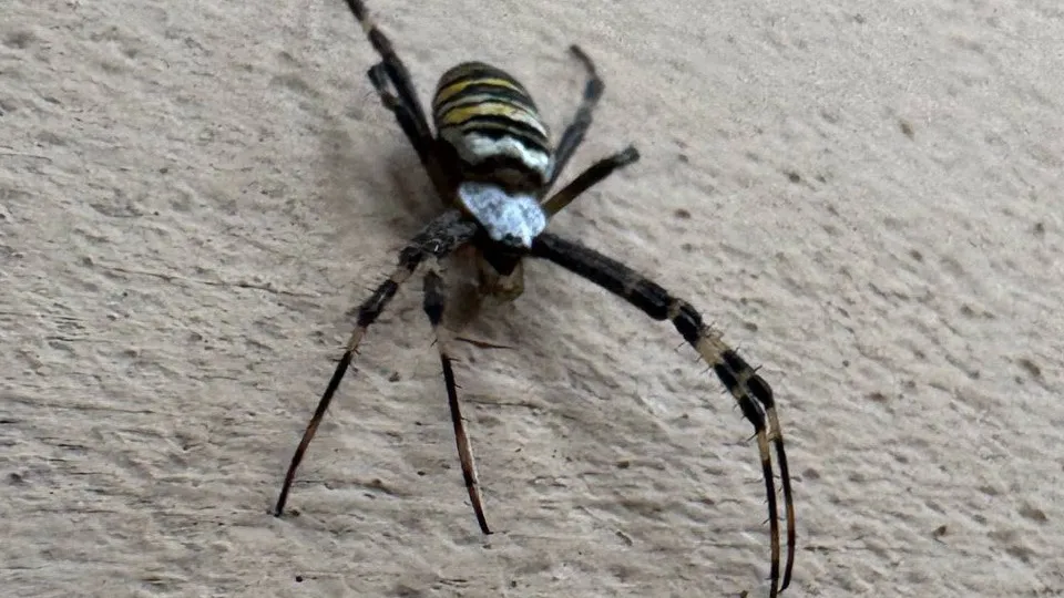 Фото: REGIONS/Владимир Ерастов