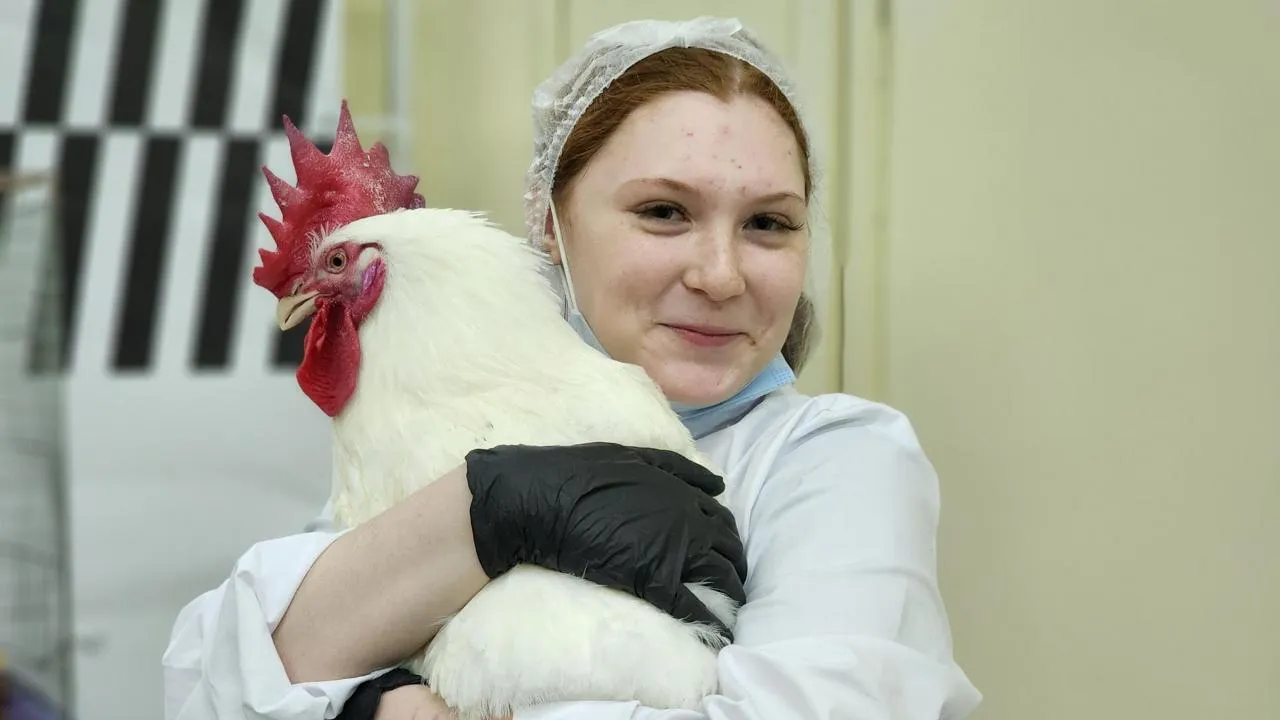 REGIONS/Елена Шумакова