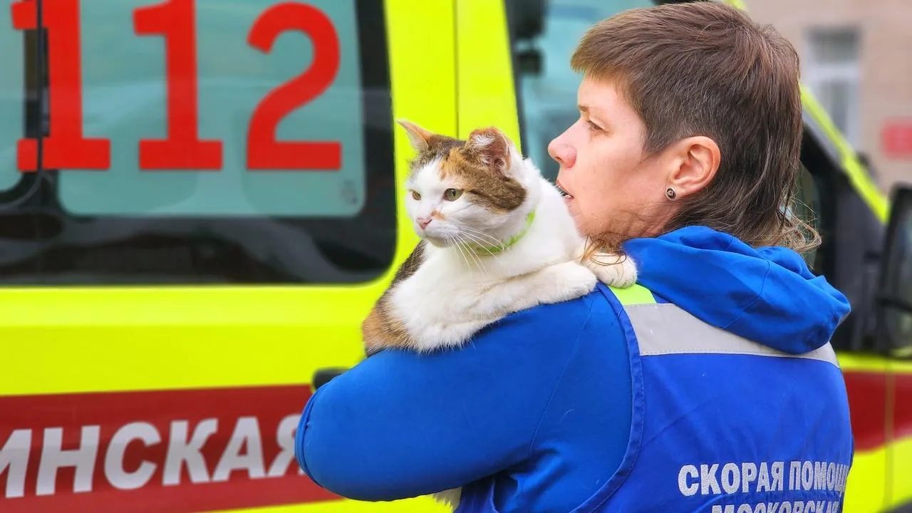 Медиабанк Подмосковья/Полина Пахомова