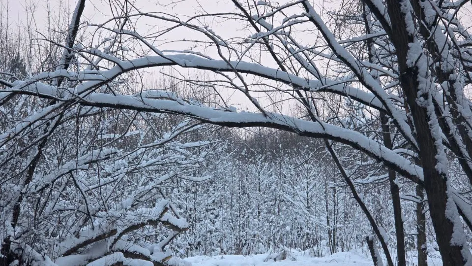 Фото: REGIONS/Ольга Ковалева