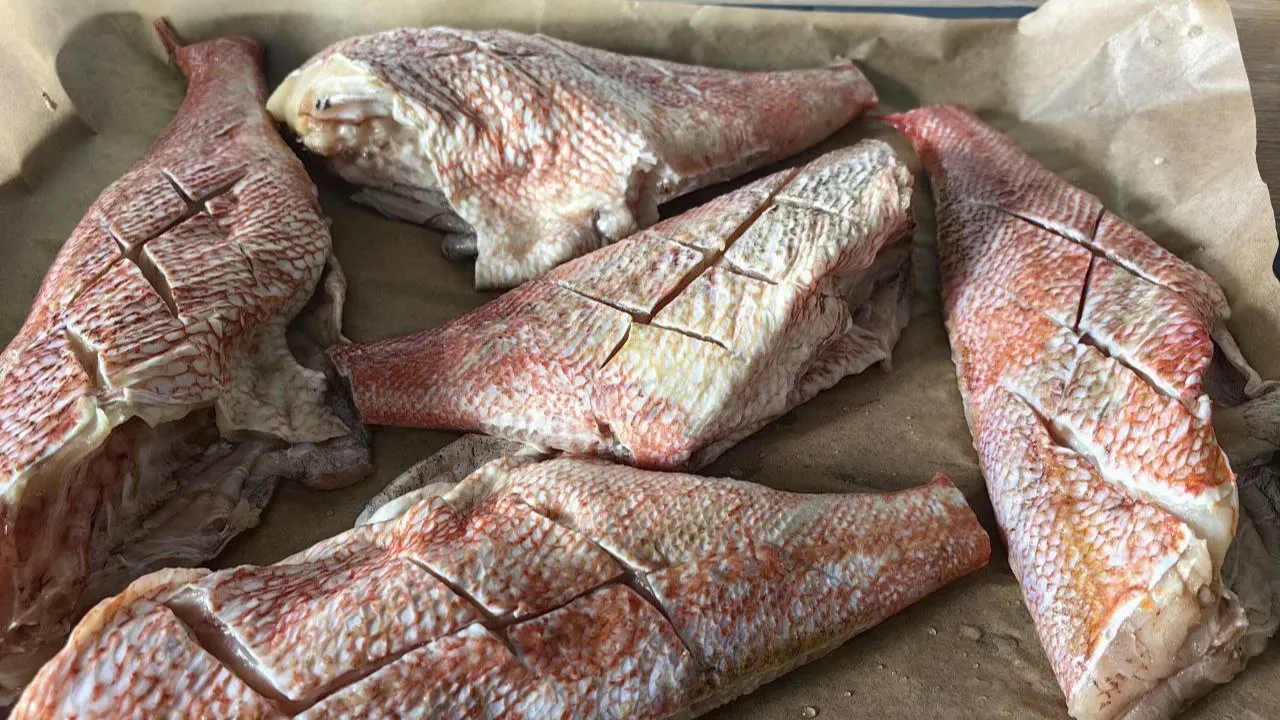 REGIONS/Наталья Фомина