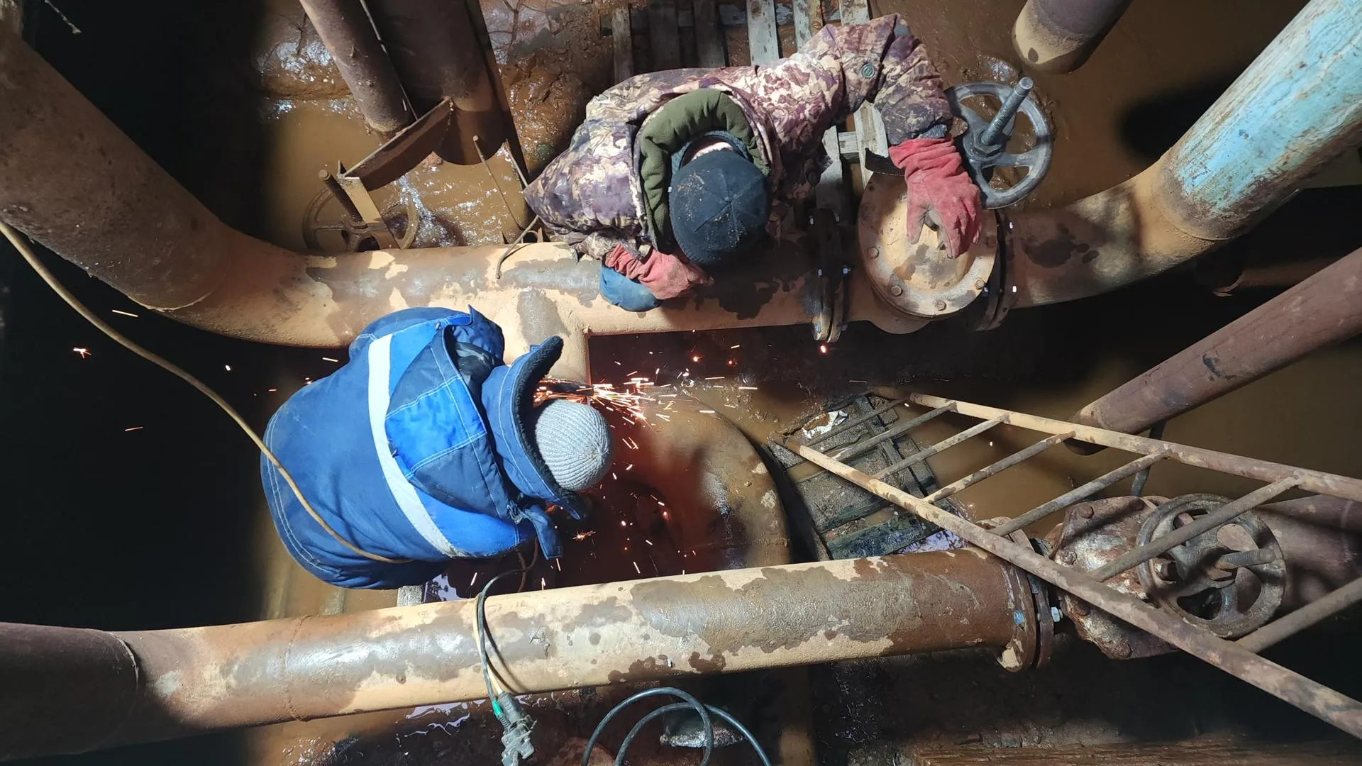 Валерия Тингаева