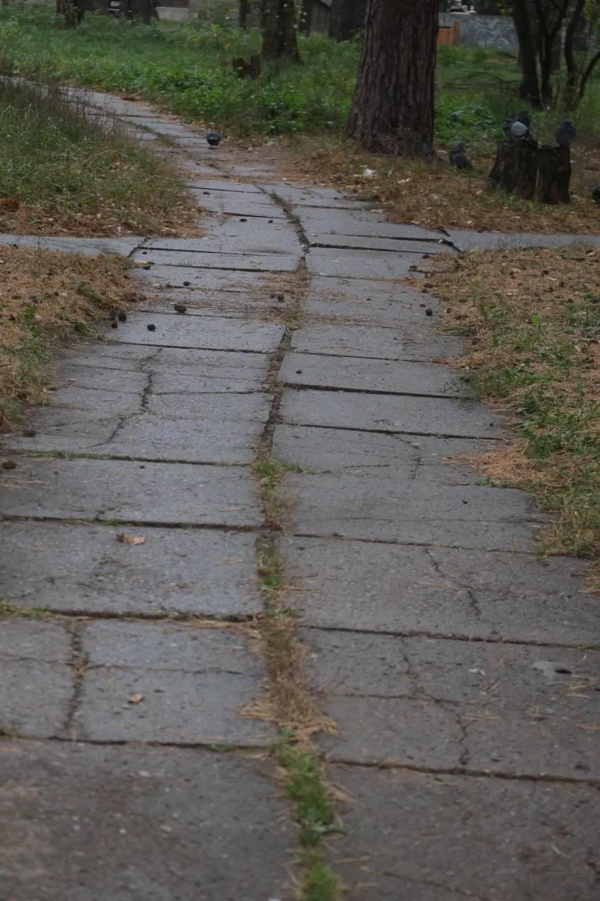 Фото: пресс-служба администрации Протвино