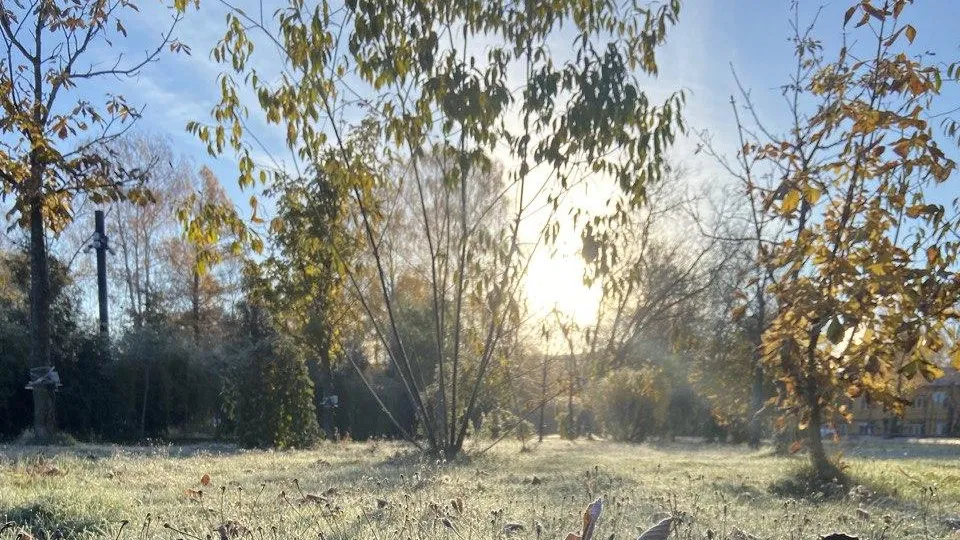 фото: Алена Мельникова