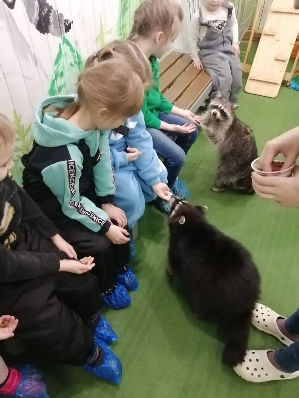 Фото: Семейный центр «Зарайский»