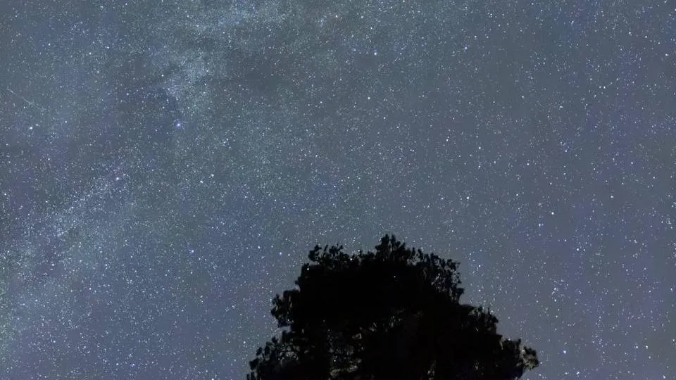 REGIONS/Екатерина Филиппова