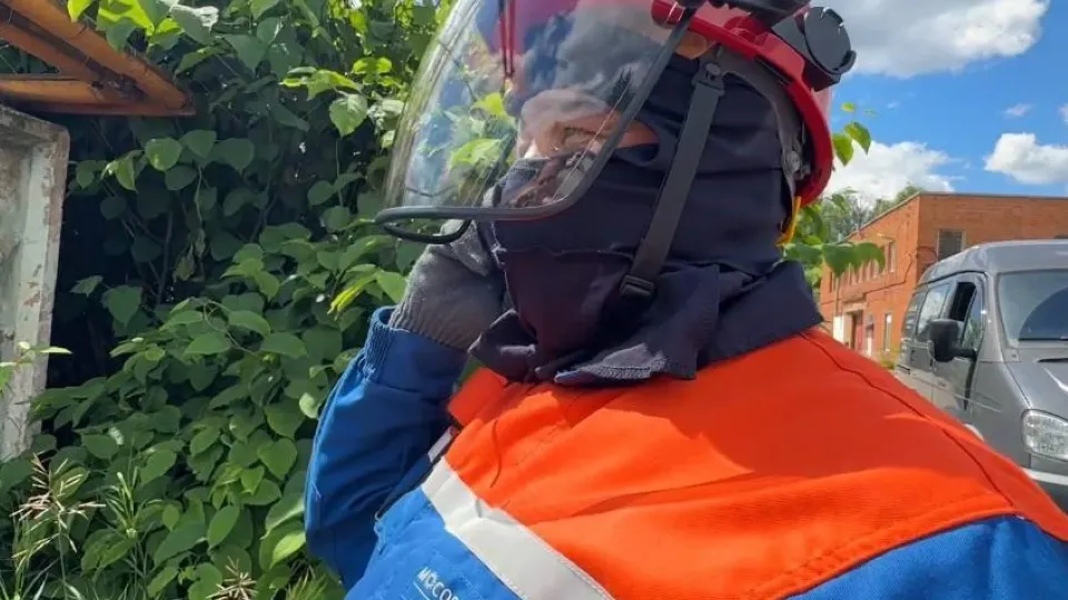 Фото: АО «Мособлэнерго»