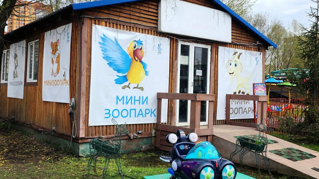 Картинка