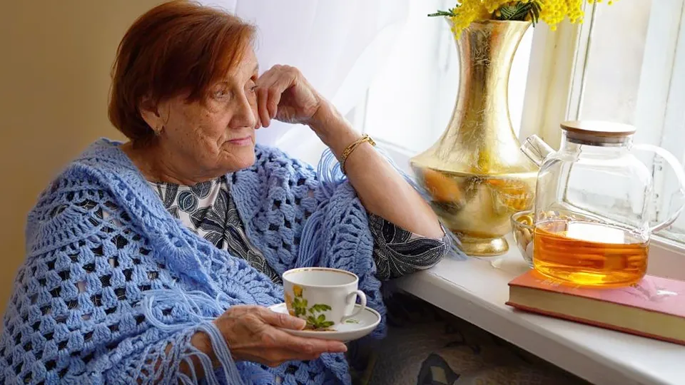 Фото: Министерство социального развития Московской области