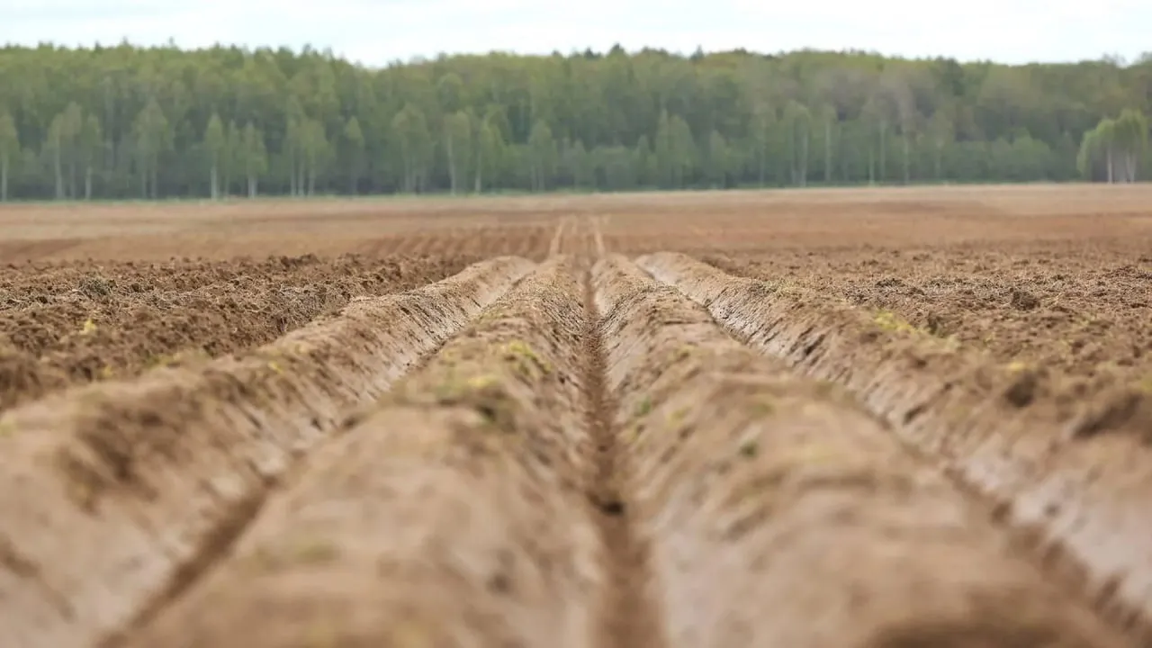 Минсельхоз МО