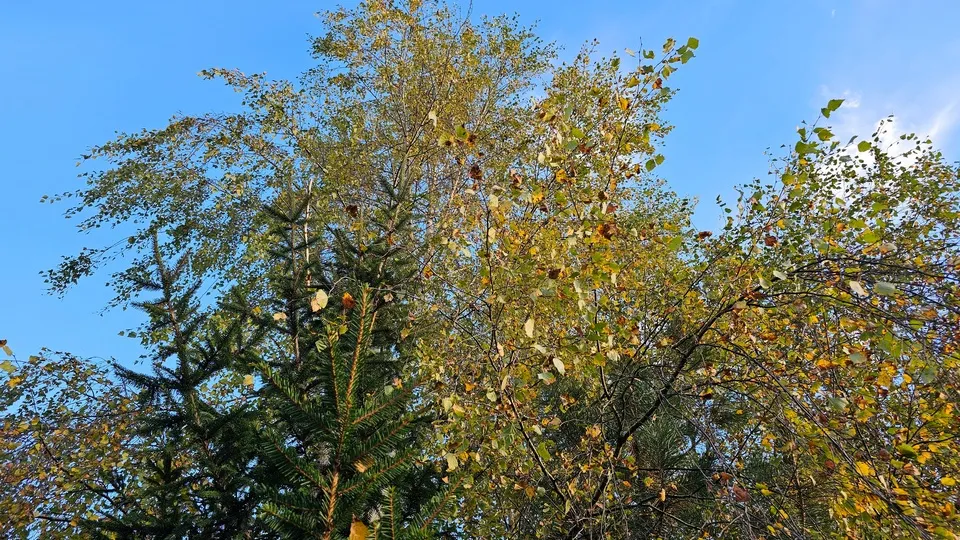 Фото: REGIONS/Александр Дрожжин