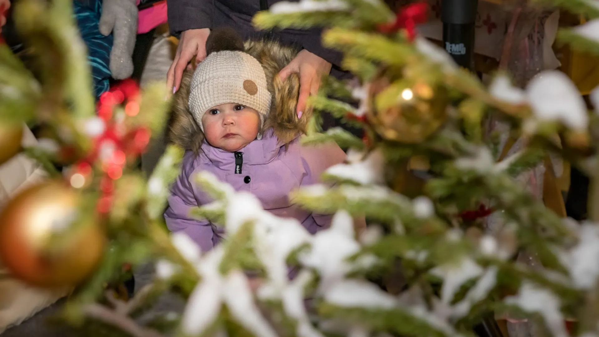 Министерство культуры и туризма МО