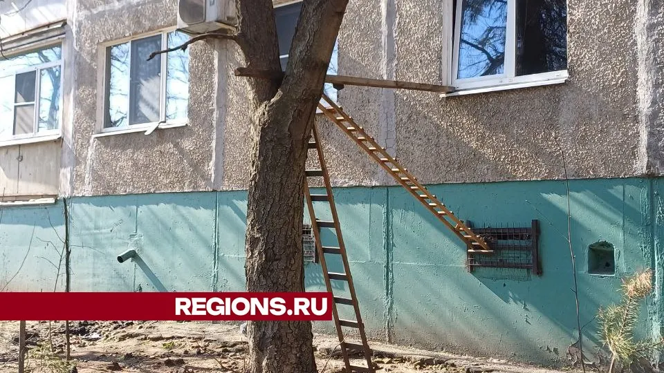 Фото: Оксана Иванова