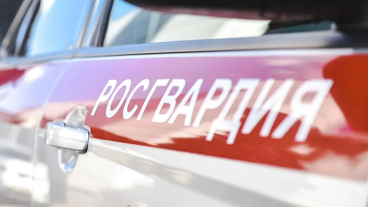 Подмосковные росгвардейцы задержали дебошира у букмекерского клуба