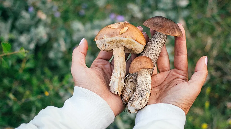 Фото: freepik.com