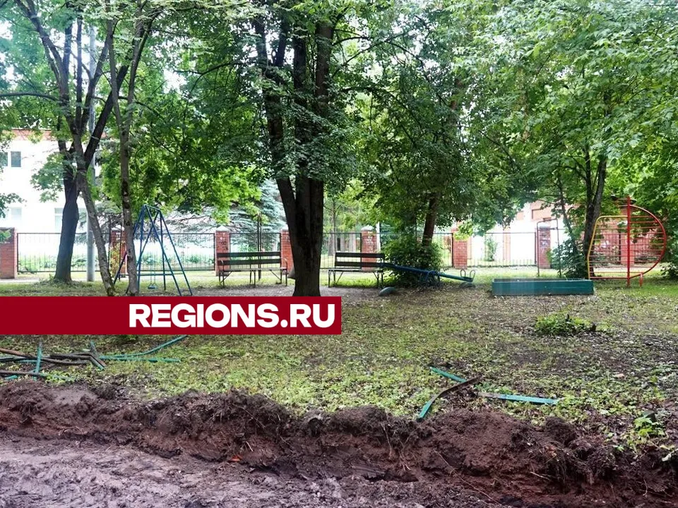 Фото: Дарья Леонова