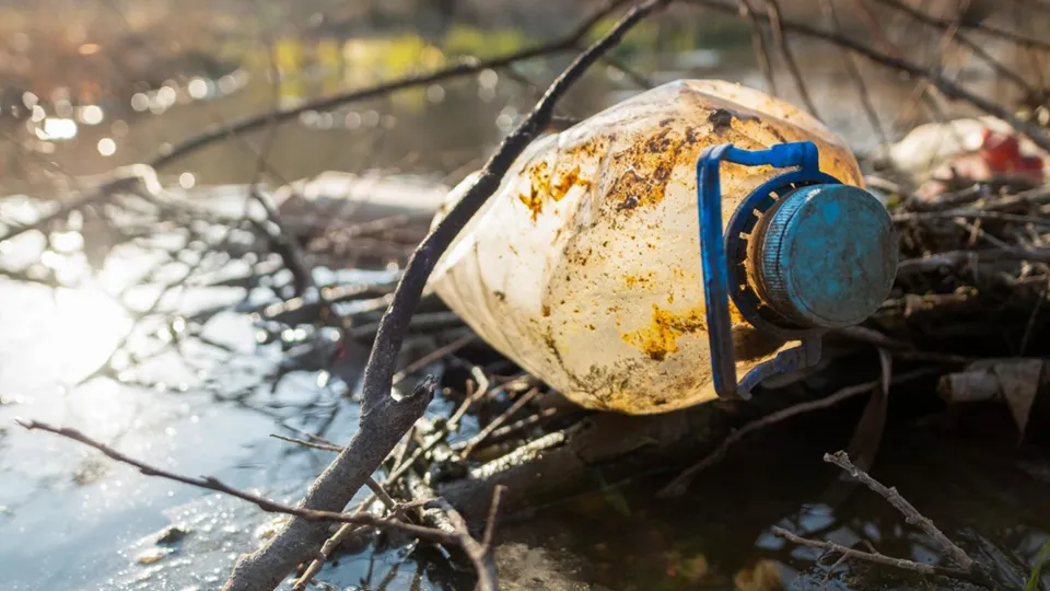 Фото: freepik.com