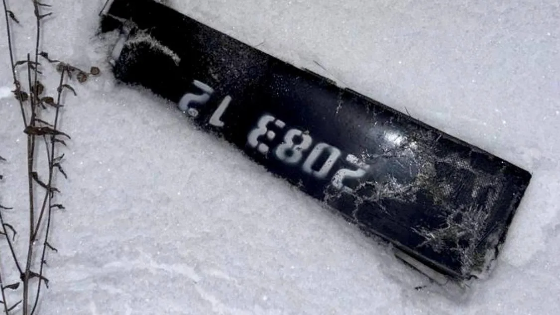 Глава муниципального округа Истра Татьяна Витушева