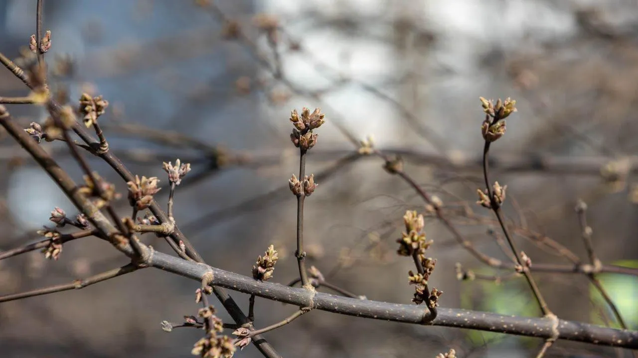 REGIONS/Роман Малышенко