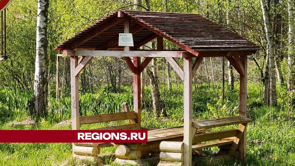 Фото: Елена Лабзина