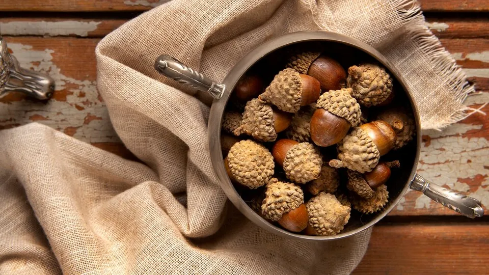 Фото: freepik.com