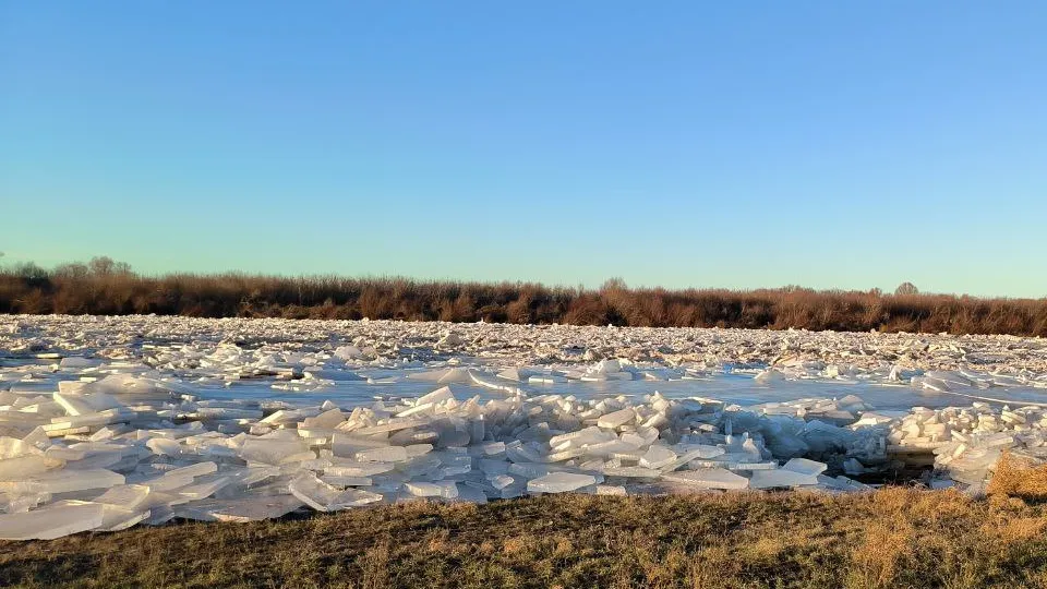 Фото: пресс-служба администрации г.о. Кашира