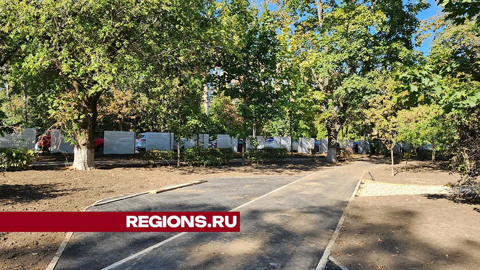 Фото: Роман Савельев