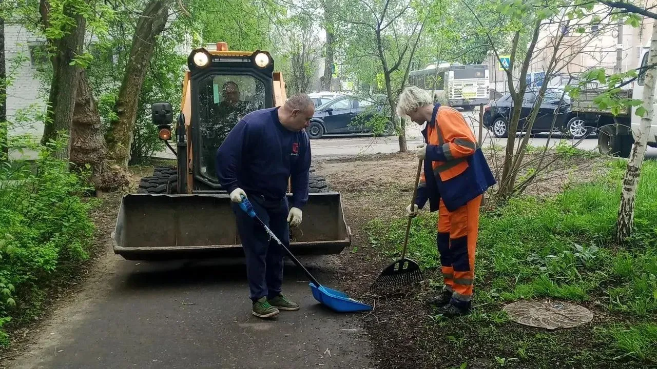 Картинка