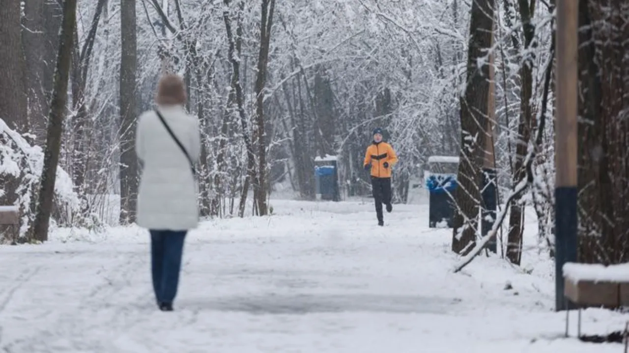 медиасток.рф