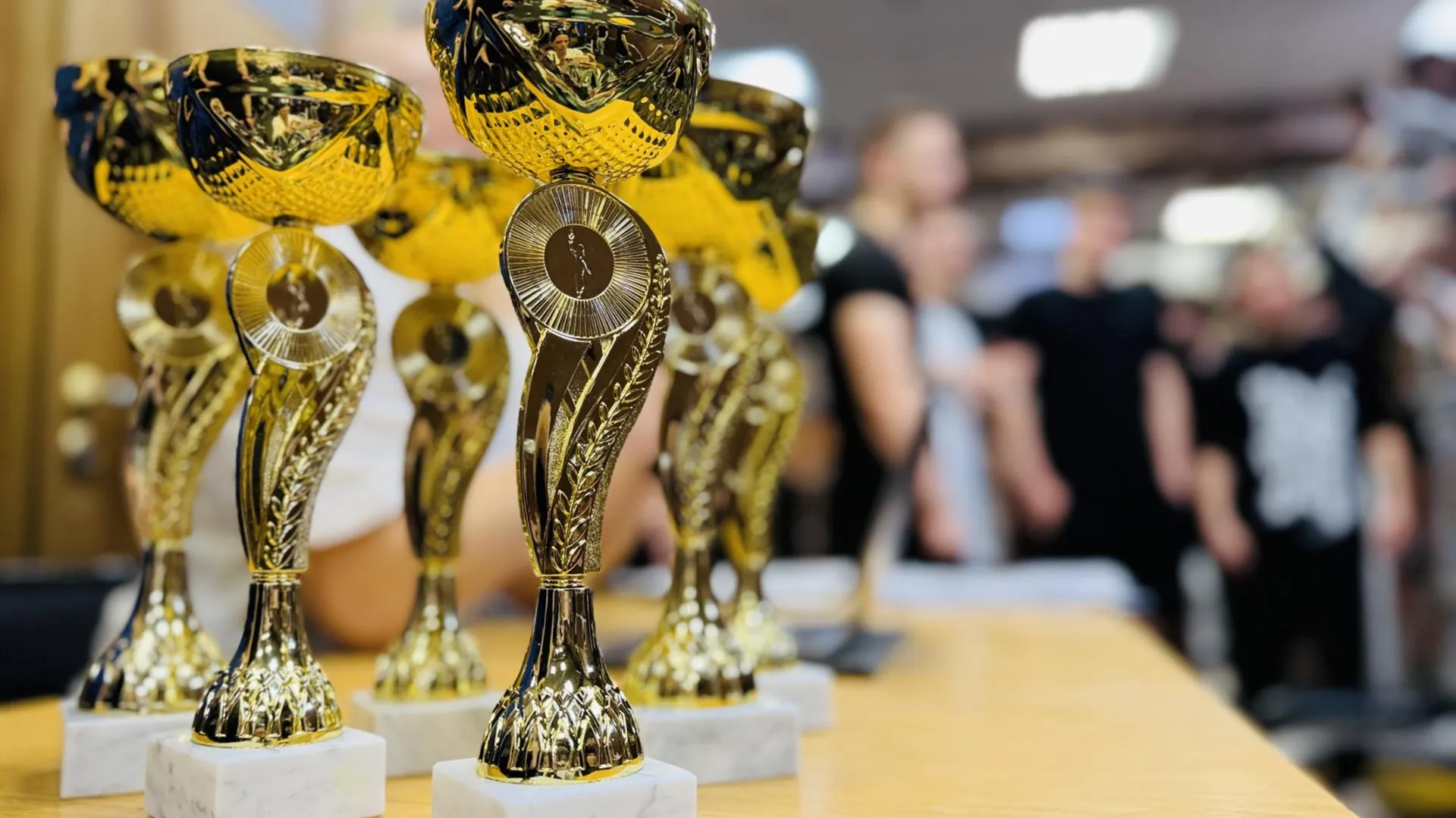 МедиаБанк Подмосковья/Ольга Стаферова