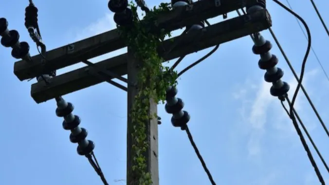 Фото: freepik.com