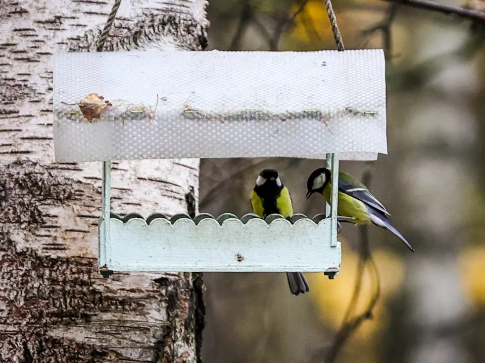 Фото: ТАСС/URA.RU/Роман Наумов