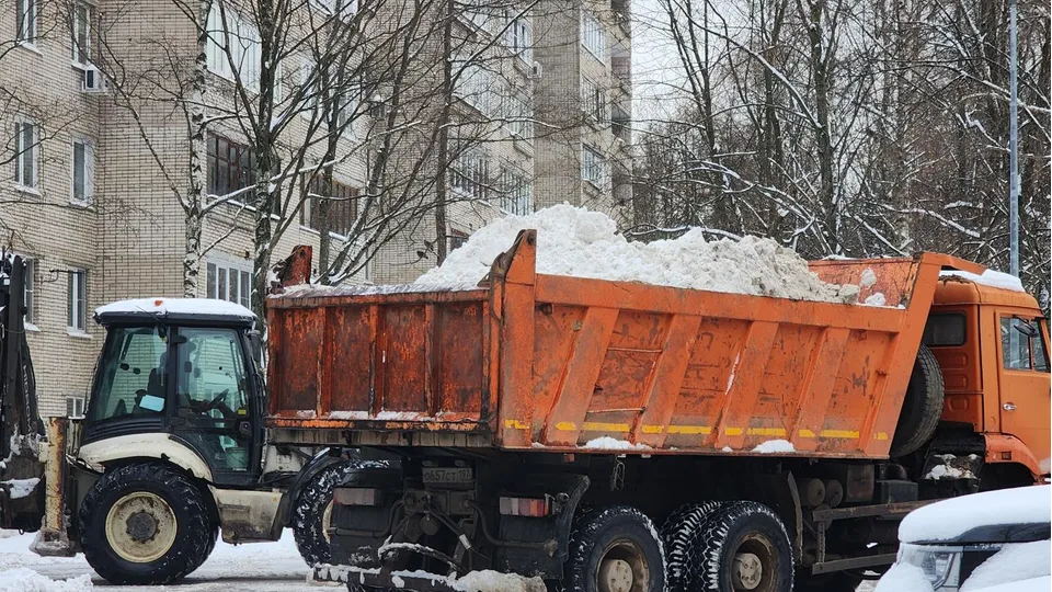 Фото: пресс-служба администрации г. о. Фрязина