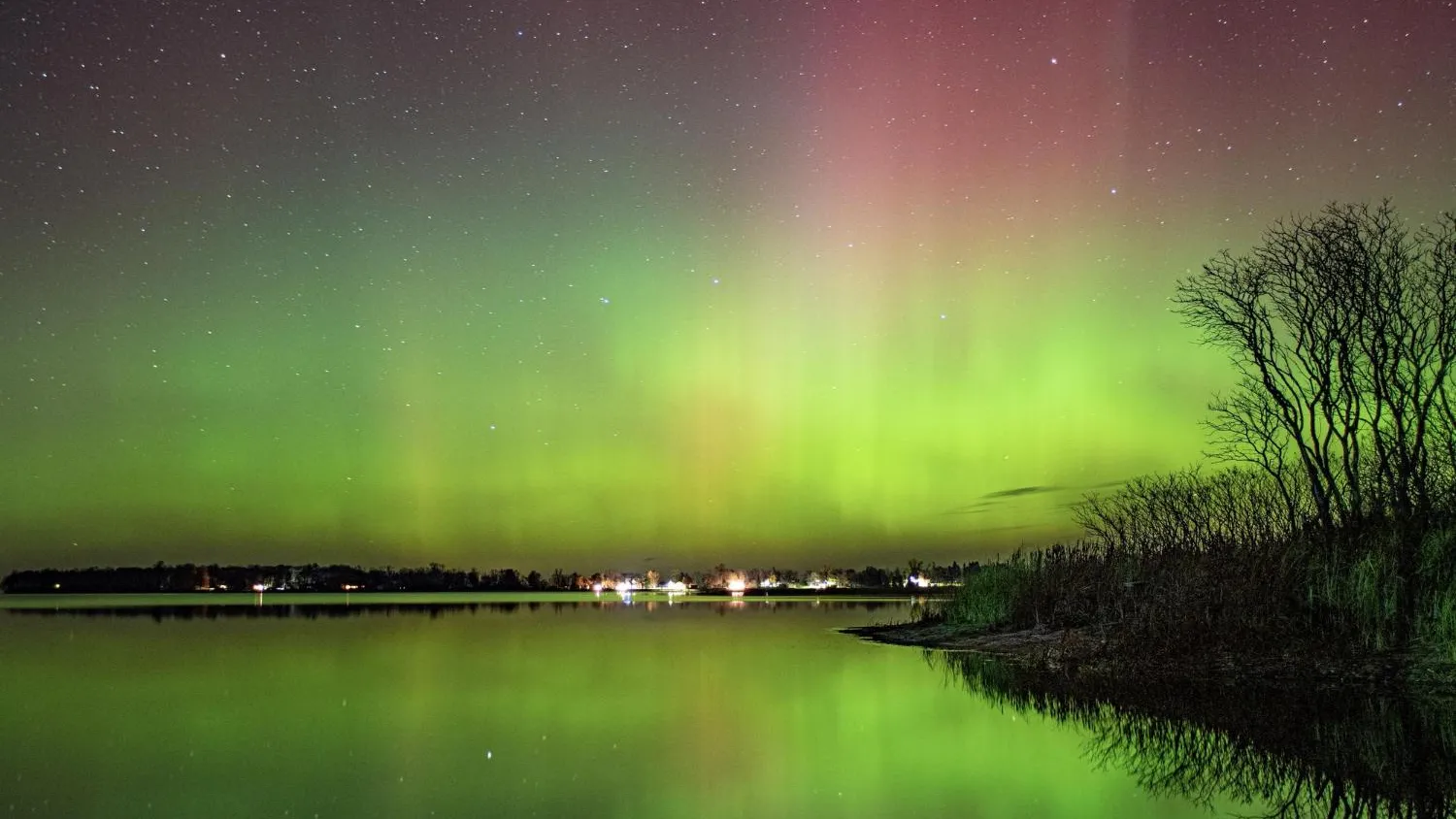 Фото: Freepik.com