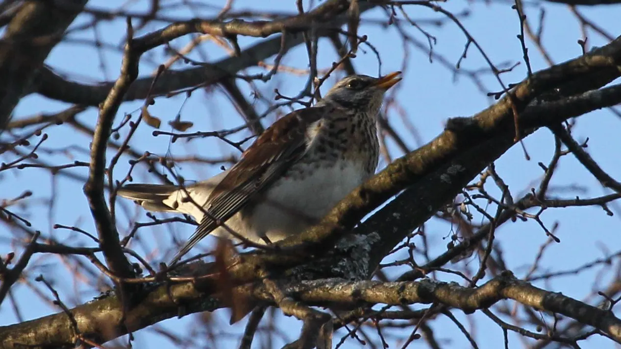 Министерство культуры и туризма МО