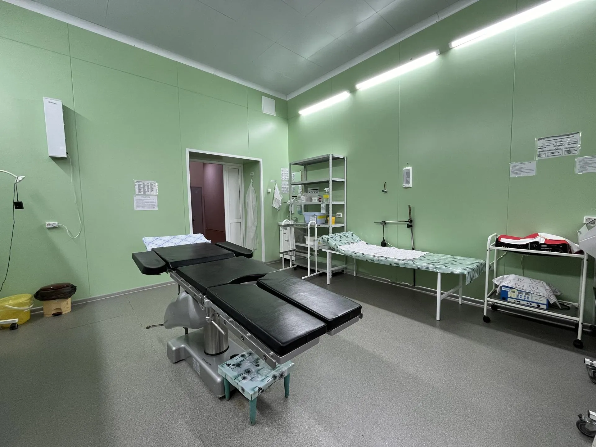 Фото: МедиаБанк Подмосковья/Ангелина Стельмух