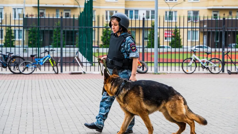 Фото: REGIONS/Наталия Надточая