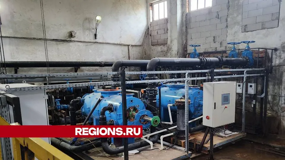 Фото: Светлана Плотникова