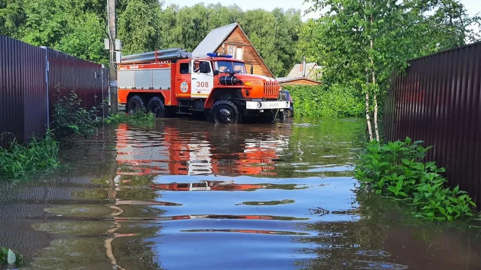Фото: медиасток.рф