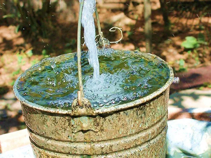 В Польше могут ввести норму по сбору дождевой воды ведрами — мнение политолога